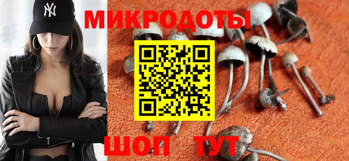 Галлюциногенные грибы GOLDEN TEACHER Туймазы