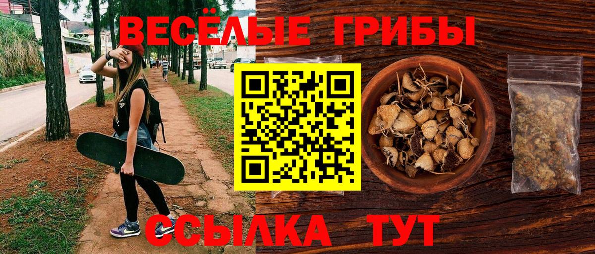 закладка  Псилоцибиновые грибы MAGIC MUSHROOMS  Вход с VPN  Туймазы 